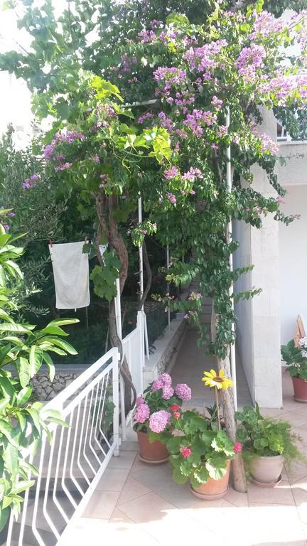 Apartments Dragan Trogir Eksteriør billede